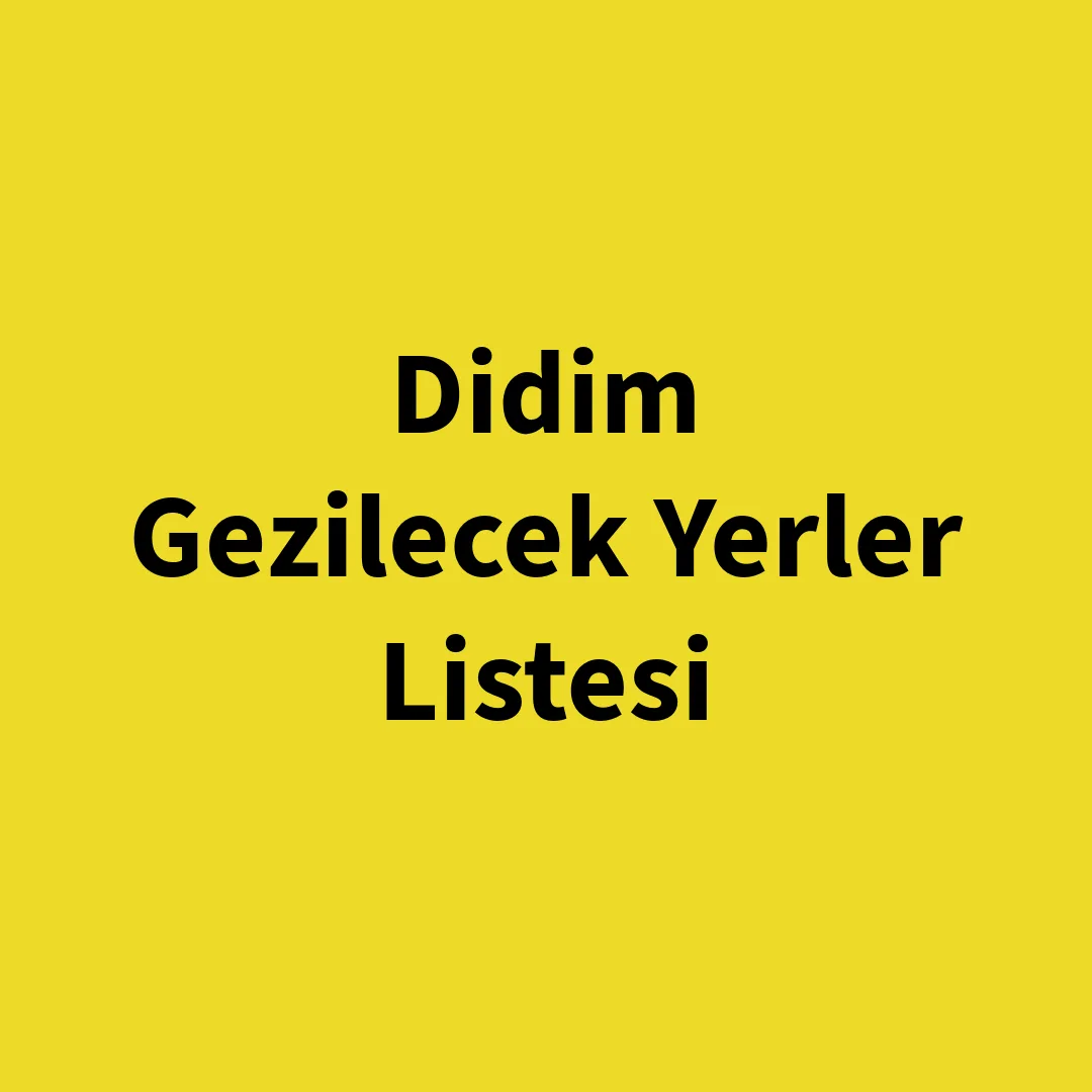 Didim’de Gezilecek Yerler